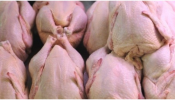 За 2016 год свердловский актив «Рависа» дал 15 тыс тонн мяса птицы